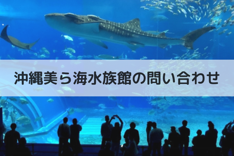 沖縄美ら海水族館の問い合わせ先 | チケット予約の電話番号も（アイキャッチ画像）